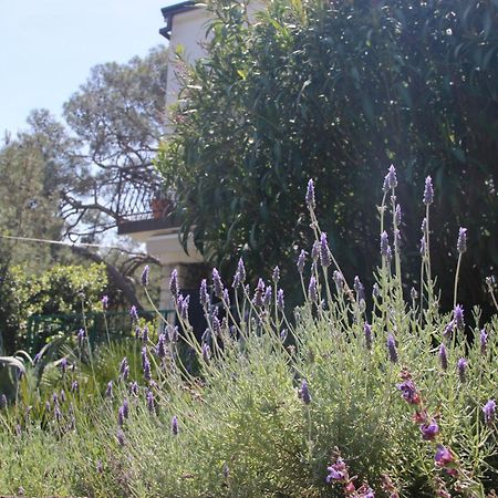 Cappelli Apartments - Losinj Mali Lošinj Zewnętrze zdjęcie